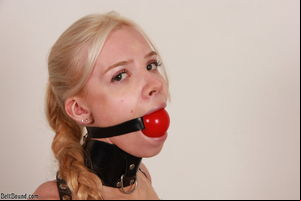 BeltBound Clip Store - Stella Cox